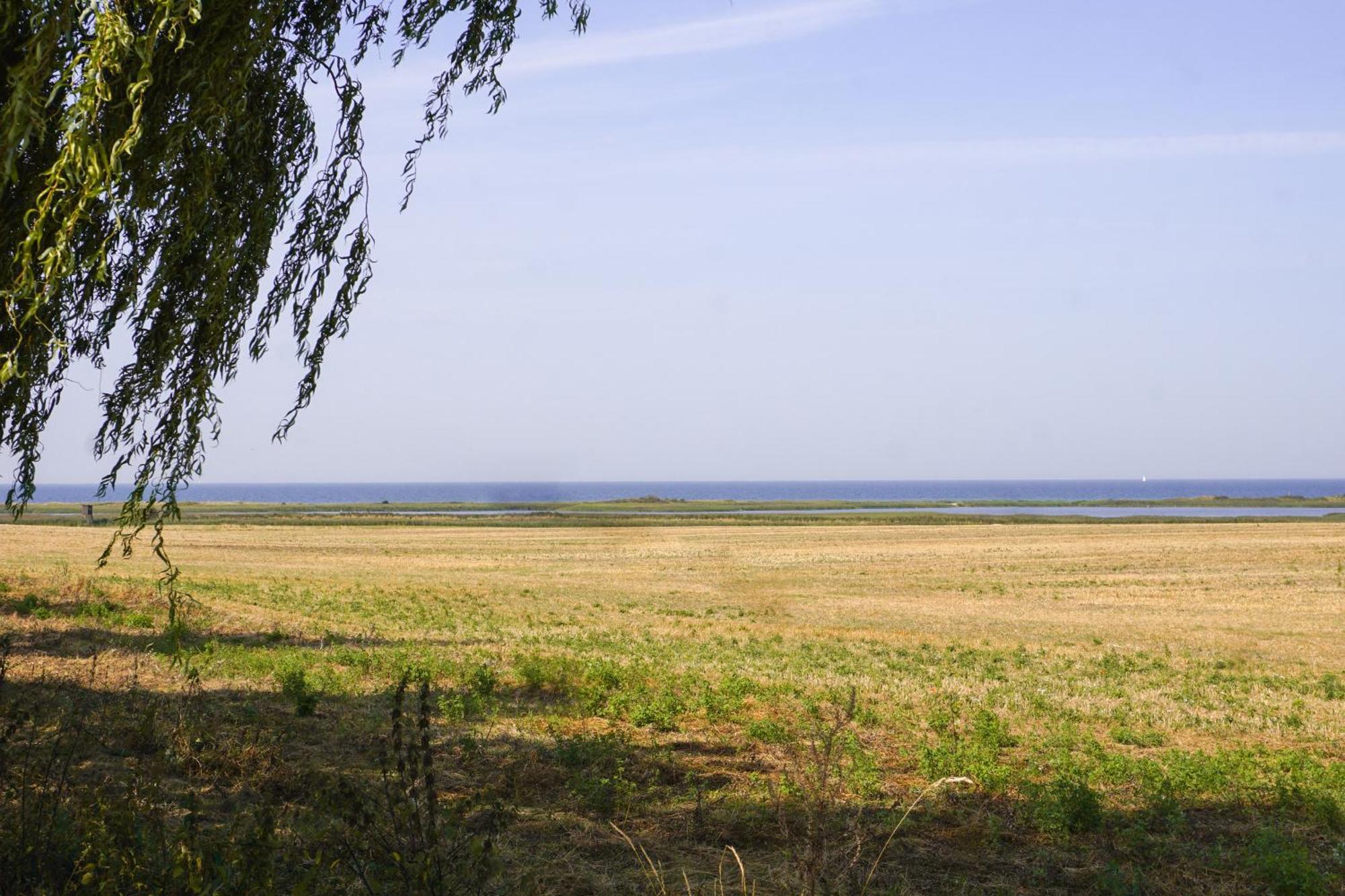Duenenmeer Ferienwohnung Kuhlungsborn Bagian luar foto